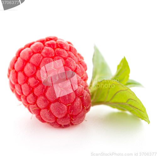 Image of Raspberries with leaves