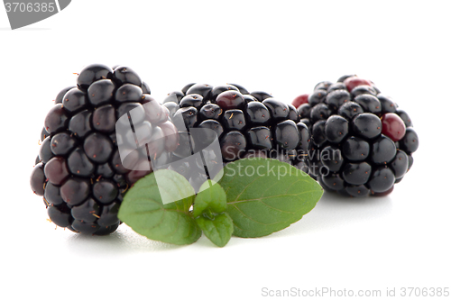 Image of Blackberries with leaves