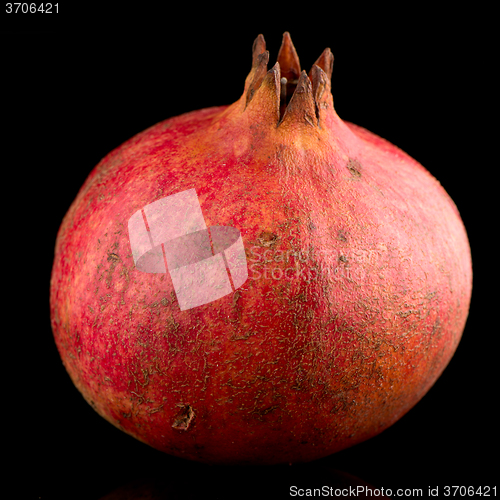 Image of Ripe pomegranate fruit