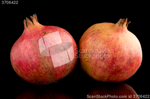 Image of Ripe pomegranate fruit