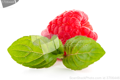 Image of Raspberries with leaves
