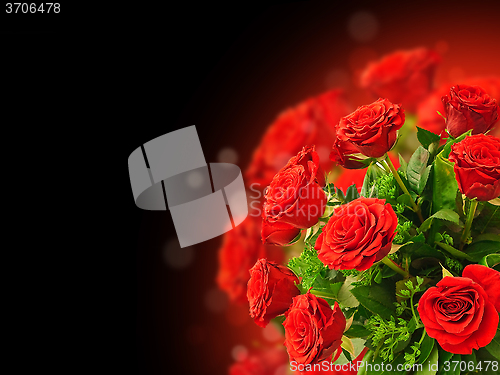 Image of Red Roses
