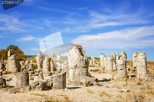 Image of Stone Forest
