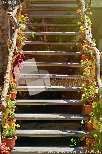 Image of Wooden Staircase