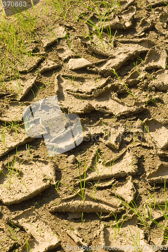 Image of Drought soil