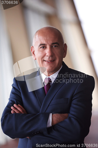 Image of senior business man portrait