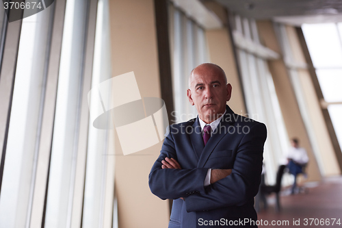 Image of senior business man portrait