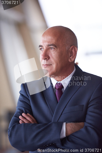 Image of senior business man portrait