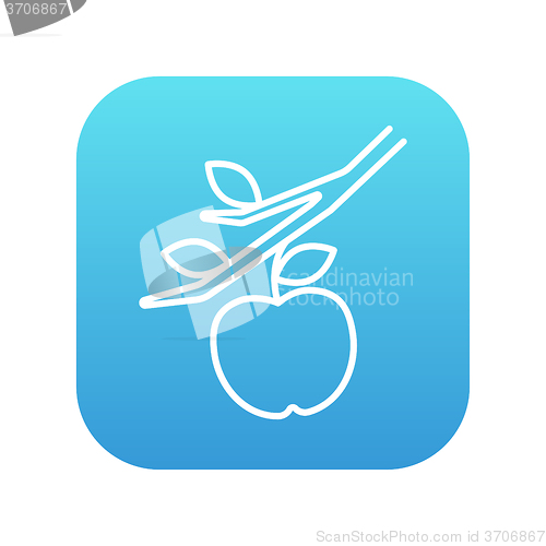 Image of Apple harvest line icon.