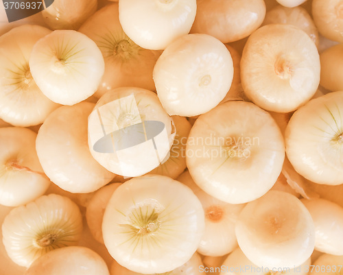 Image of Retro looking Onions