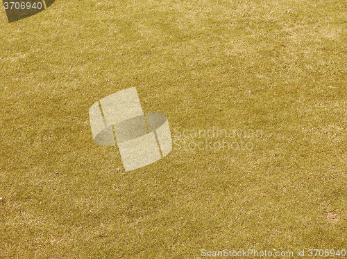 Image of Retro looking Grass meadow