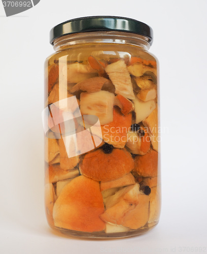 Image of Porcini mushroom jar