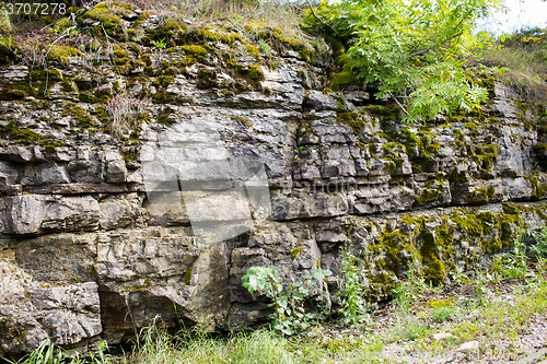 Image of close up of flagstone rock with moss and greens