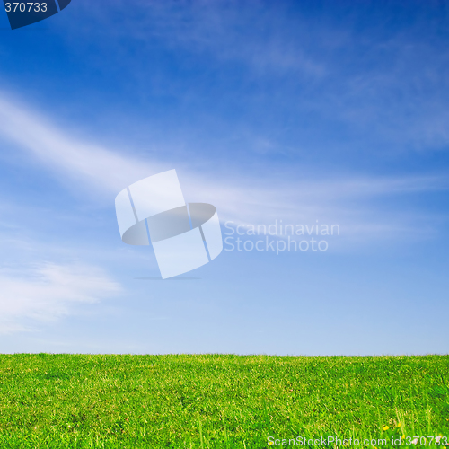 Image of Green Field