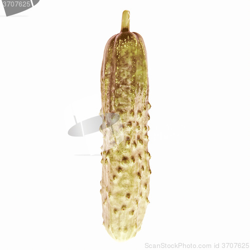 Image of Retro looking Cucumber isolated