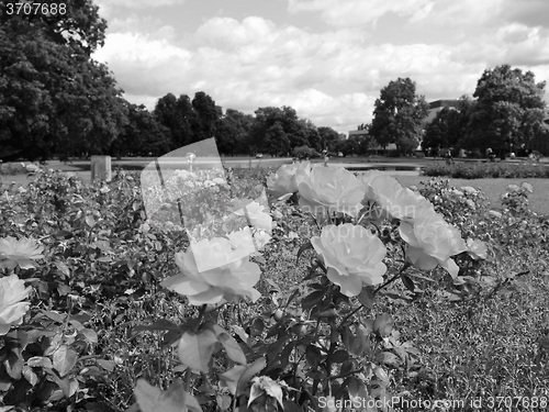 Image of Gardens in Stuttgart Germany