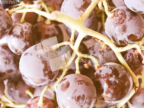 Image of Retro looking Grape