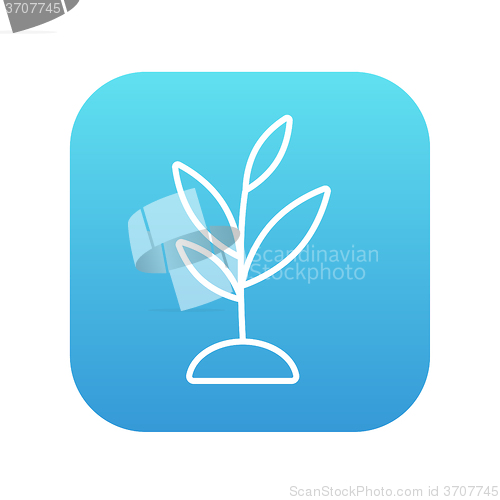 Image of Sprout line icon.