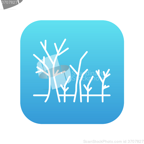 Image of Tree with bare branches line icon.