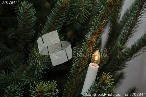 Image of Electric candle in a christmas tree