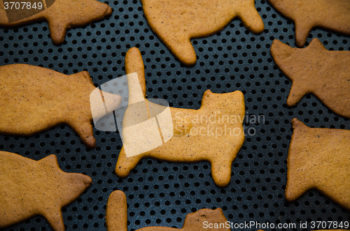 Image of Gingerbread cat figure