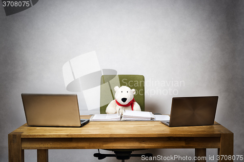 Image of Business bear