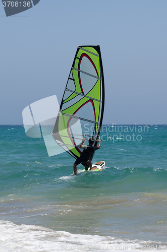 Image of Windsurfing