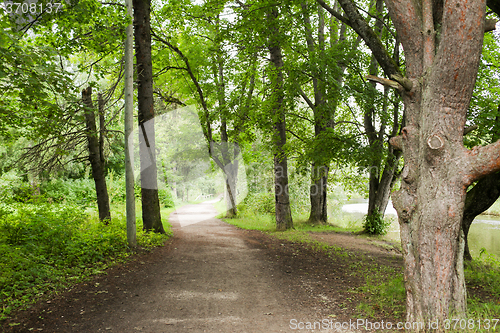 Image of summer forest and path