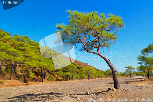 Image of olympos  the hill in asia turkey termessos 