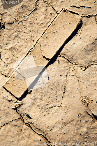 Image of brown dry sand in sahara wood abstract