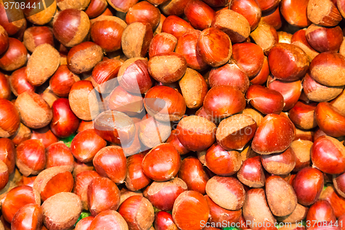 Image of Pile of chestnuts.