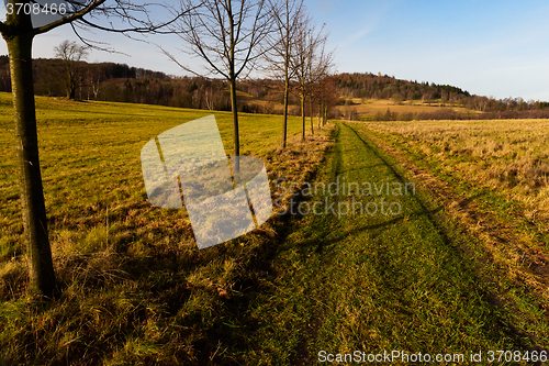 Image of Autumn landscape