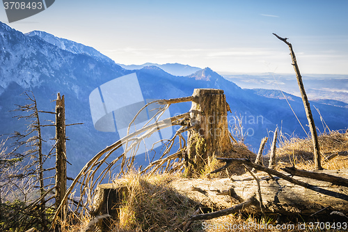 Image of Landscape Bavaria Alps