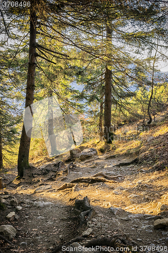 Image of Path in Bavarian Alps