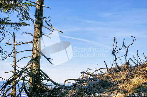 Image of Landscape Bavaria Alps