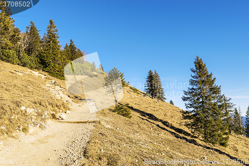 Image of Path in Bavaria Alps
