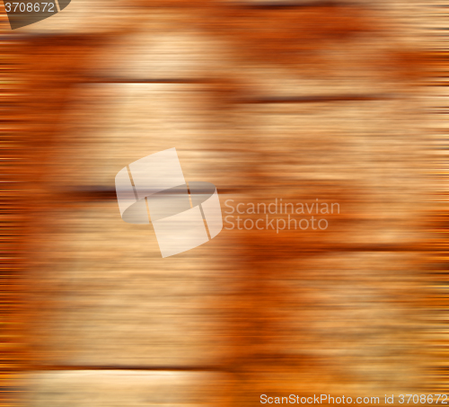 Image of pine needles    ruins stone and theatre in  antalya  arykanda tu