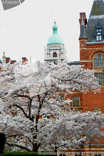 Image of tree  window in europe london  red brick wall     and      histo