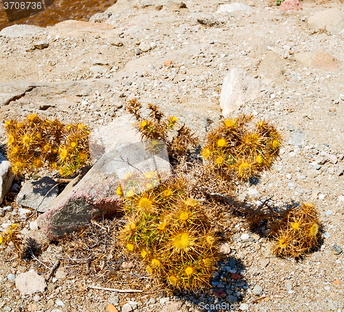 Image of sea in delos greece the historycal acropolis and old ruin site