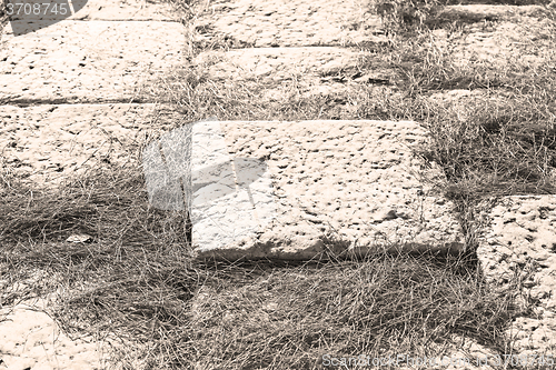 Image of pine needles    ruins stone and theatre in  antalya  arykanda tu