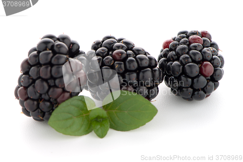 Image of Blackberries with leaves