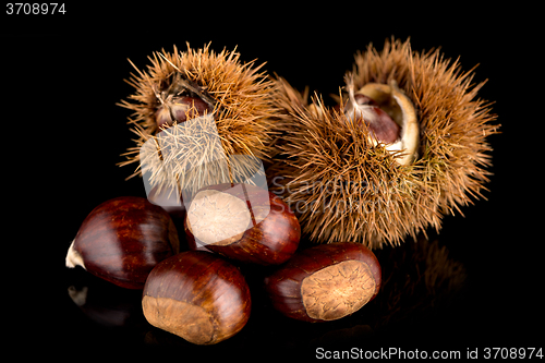 Image of Chestnuts on a black reflective background