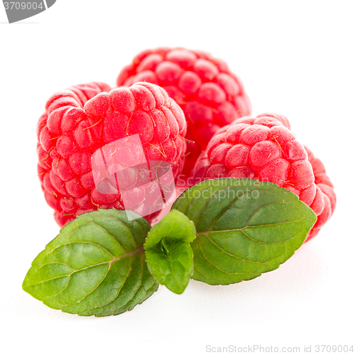 Image of Raspberries with leaves