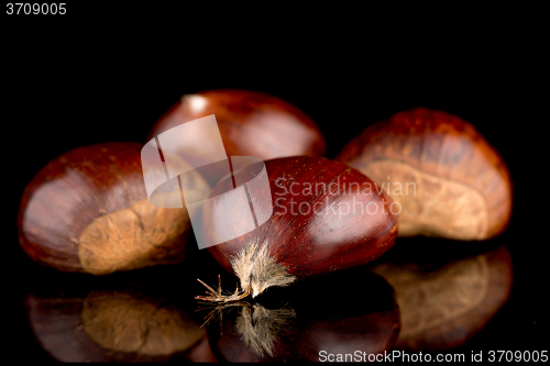 Image of Chestnuts on a black reflective background