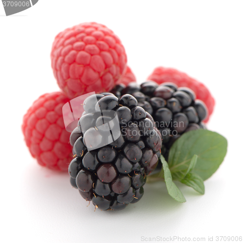 Image of Raspberry with blackberry 