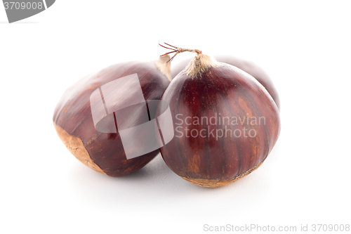 Image of Chestnuts with shell 