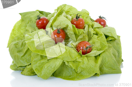 Image of Fresh Vegetable