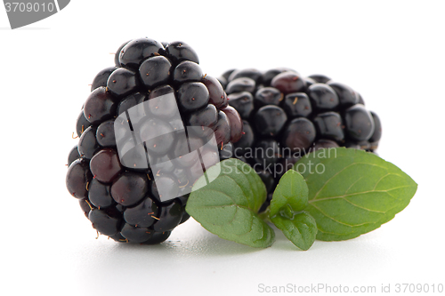 Image of Blackberries with leaves