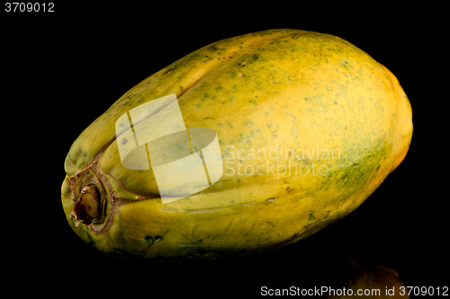 Image of Papaya fruit on black background