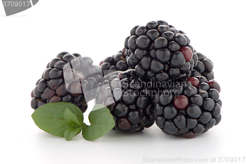 Image of Blackberries with leaves